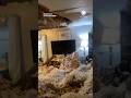 Total Destruction: Lightning Strike Destroys Florida Man's Home