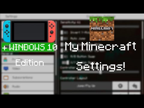 MY SETTINGS - (PRO Minecraft Switch Player)
