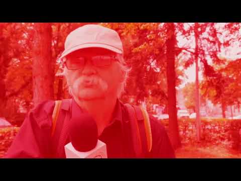 Bieluń dziędzierzawa Datura Stramonium