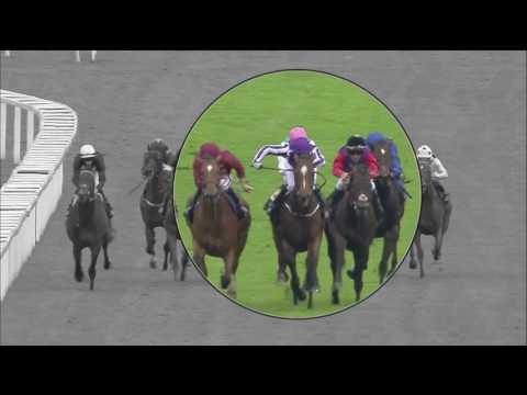 2016 King George Preview