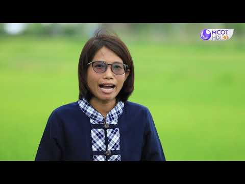 รักษ์ผืนดินถิ่นส.ป.ก. ปี๒/ตอนที่๑๙. เรื่องส.ป.ก. ยโสธร พัฒนากลุ่มเกษตรอินทรีย์หินสิ่วแบบยั่งยืนในเขตปฏิรูปที่ดิน