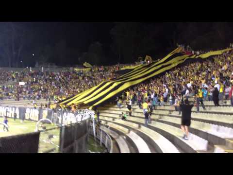 "Avalancha Sur - Bandera Gigante + Aurinegro, mi buen amigo. Deportivo Táchira vs. Yaracuyanos." Barra: Avalancha Sur &bull; Club: Deportivo Táchira