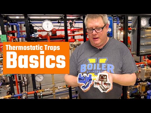 Thermostatic Steam Traps 101