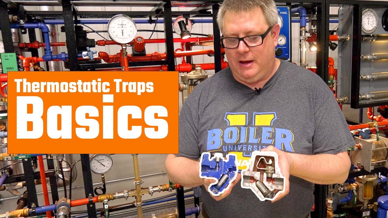 Thermostatic Steam Traps 101