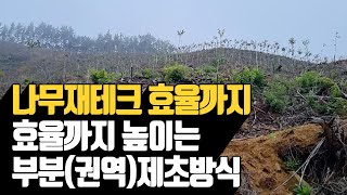 나무재테크 효율까지 높이는 부분(권역) 제초방식 | 나무대장???? 나무농사의 모든것