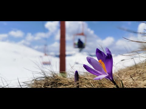 Schi la Sinaia pe 4.05.2021, by Mister Fox & and Friends