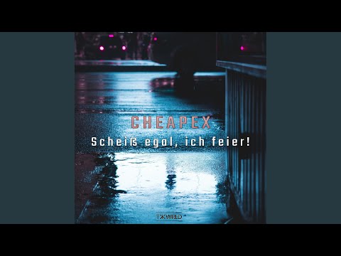 Scheiß egal, ich feier!