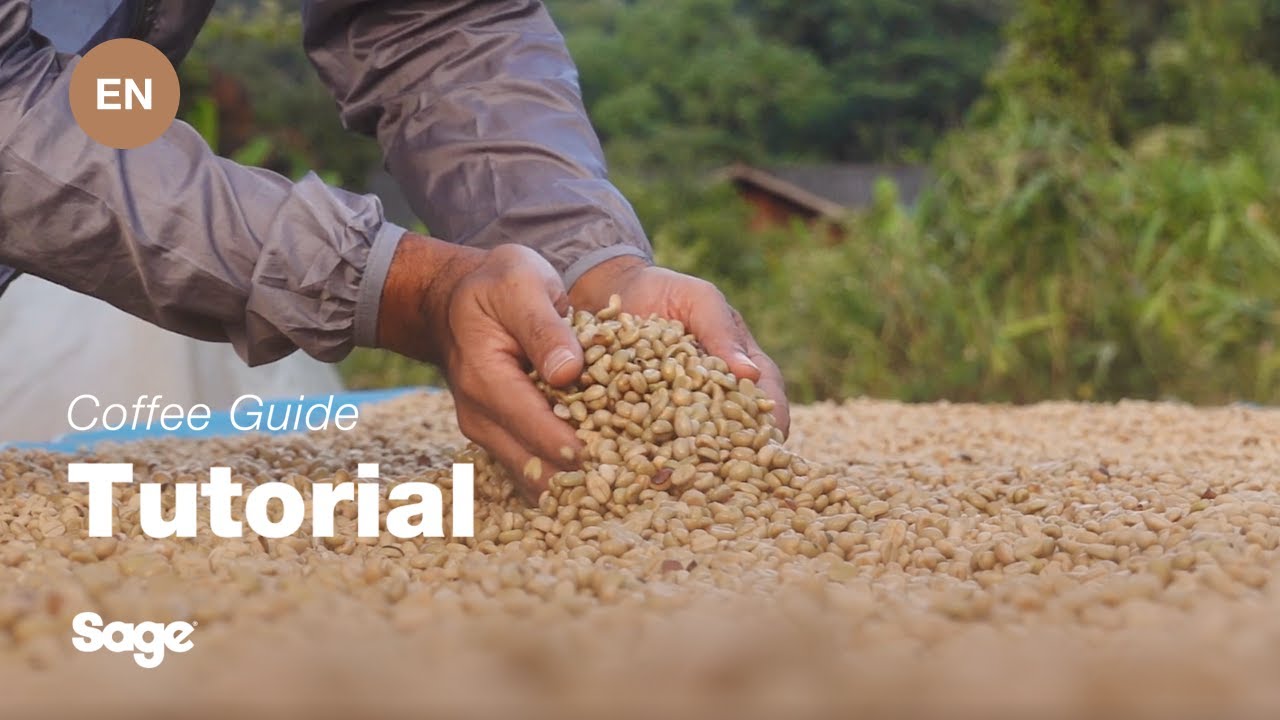 Choosing the right beans