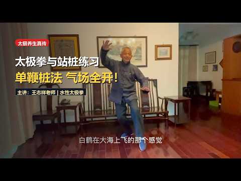 Zhan Zhuang Standing Pole & Tai Chi: Single Whip Posture for Healing & Power