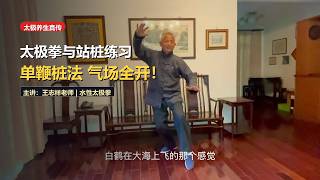Zhan Zhuang Standing Pole & Tai Chi: Single Whip Posture for Healing & Power