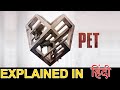 Pet 2016 Explain In Hindi Story Explain