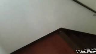 家に？？の箱が届いた【第一回食レポ動画】