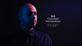 Bjork - Future Forever (Soul Intent remix)