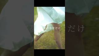 透明な声 / 初音ミク ◾︎各種音楽配信サービにて配信中🪽 #初音ミク #オリジナル曲 #vocaloid #shorts