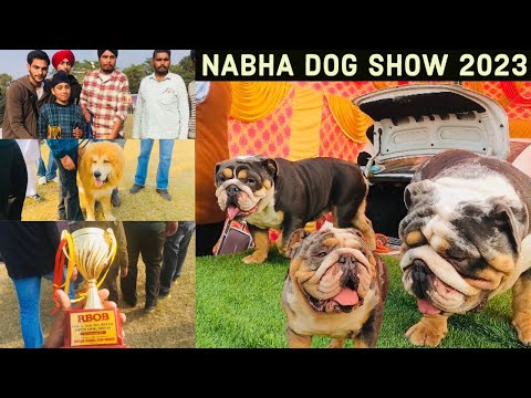 ਵੱਖ-ਵੱਖ ਨਸਲਾਂ ਦੇ ਕੁੱਤੇ ਦੇਖਣ ਨੂੰ ਮਿਲੇ NABHA DOG SHOW 2023 ਤੇ…. #youtube #dailyvlog