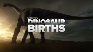 How Dinosaurs Are Born