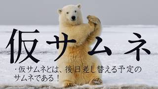 【雑談】サカナクションとの思ひ出を振り返りつつ透明ツアー当落見る【vtuber】