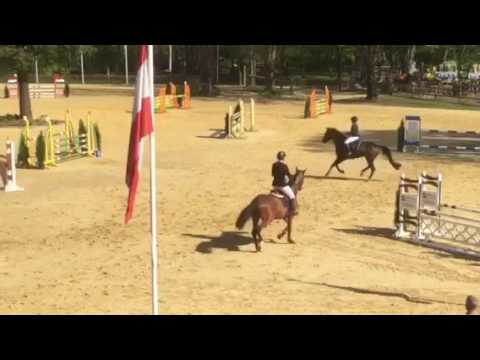 COMME PREVU. BY COMME IL FAUT X ARPEGGIO.