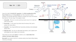 Na K 2Cl inhibit, loop diuretic, symporter, edema, swelling, ethacrynic acidm furosemide, frusemide