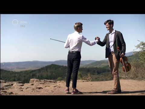 Csapodi Tádé kisfilmje