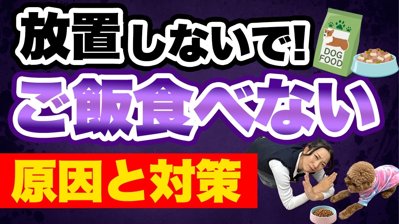 愛犬がご飯を食べないのは危険！考えられる原因と対策