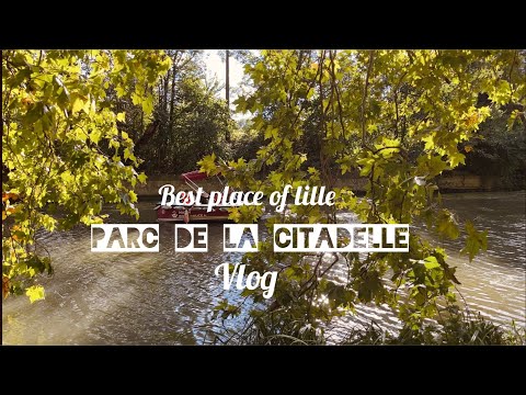 Vlog of Parc de la citadelle | Best place to visit in Lille | largest park of Lille