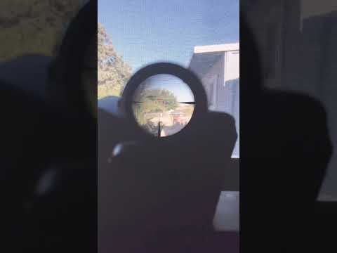 Vortex strike eagle vs Sig Tango MSR