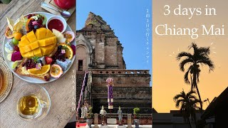 【Chiangmai Vlog】週末旅行inチェンマイ🥥食べてショッピングして…最高のリラックス旅✨✨
