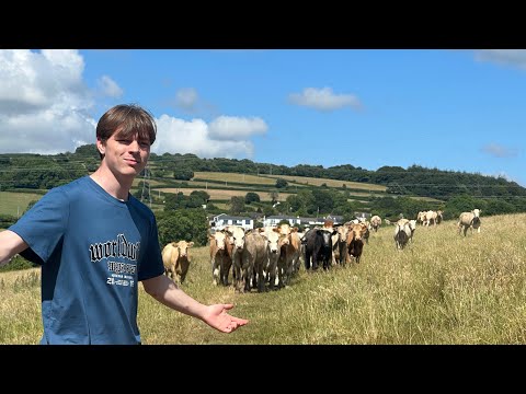 Euphoria - Brother Nature