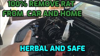 Remove Rat From Car | Herbal | Organic | Safe on skin| #ratsprayforcar