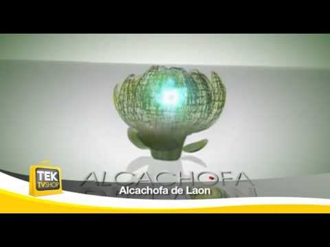 comment prendre alcachofa de laon