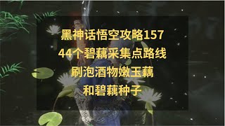 黑神话悟空攻略157：44个碧藕采集点路线！刷泡酒物嫩玉藕和碧藕种子