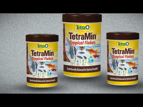 Best Fish Foods In 2025 - Top 10 Fish Food Review