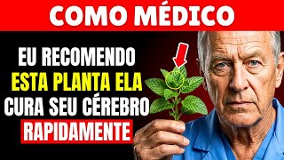 6 Plantas Que Um Neurologista Recomenda Para Proteger O Cérebro | Saúde De Adultos Mais Velhos