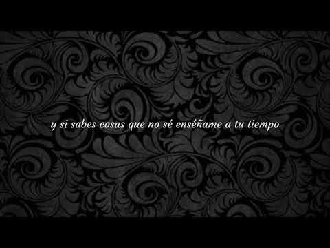 Amor, Cuánto te amo, Grupo Galé (Video Letra)