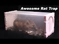 This Plastic Origami Rat Trap Is Awesome. Catching A Huge Pack Rat. Mousetrap Monday