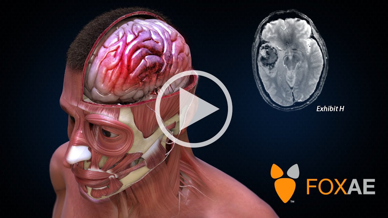 Fox-AE:  Your Science and Engineering Based Graphics Studio