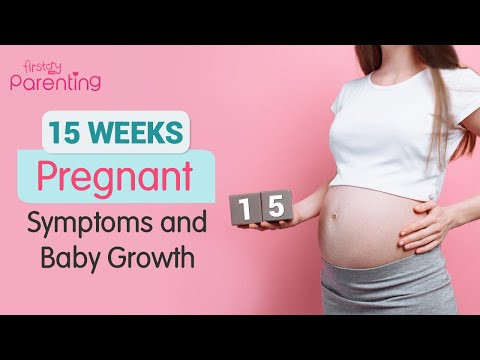 15 Weeks Pregnant - Baby Development, Symptoms & Care Tips