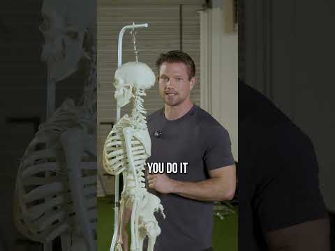 Biceps pull prep readiness routine preview