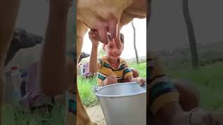 Download lagu choti go gaiya #shotsfeed caj #ytshorts mp3