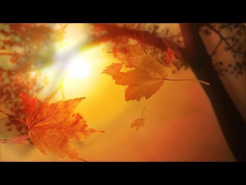 Beautiful Seasonal Music | Autumn Music, Summer Music, Spring Music, Winter Music, 🍂