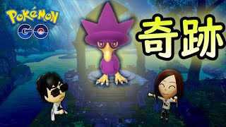 【実況】スポットライトアワー ヤミカラス色違いチャレンジ！-奇跡-