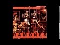 Ramones Gabba Gabba Hey (Fuck The Grind) 