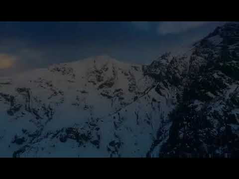 Lil Doggi Hertz - These Hoes Ft Blaze Lord, VivoRebel