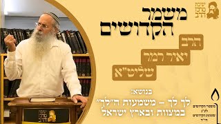 הרב יאיר רמר | משמר הקדושים | לך לך - משמעות ה"לך" במצוות ובארץ ישראל | ט' חשון תשפ"ו (ישיבת מרכז הרב) - התמונה מוצגת ישירות מתוך אתר האינטרנט יוטיוב. זכויות היוצרים בתמונה שייכות ליוצרה. קישור קרדיט למקור התוכן נמצא בתוך דף הסרטון הרב יאיר רמר | משמר הקדושים | לך לך - משמעות ה"לך" במצוות ובארץ ישראל | ט' חשון תשפ"ו (ישיבת מרכז הרב) - התמונה מוצגת ישירות מתוך אתר האינטרנט יוטיוב. זכויות היוצרים בתמונה שייכות ליוצרה. קישור קרדיט למקור התוכן נמצא בתוך דף הסרטון