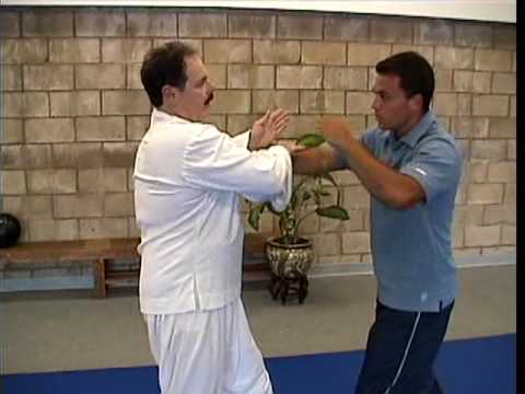 Baguazhang Knock Outs Nine Dragon Baguazhang