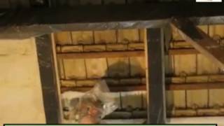 ZOBACZ VIDEO