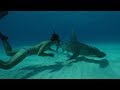 Sharkwater: Extinction | Trailer