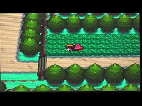 Pokemon Soul Silver Walkthrough Part 56: Catching Entei