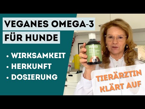 Vegane Omega-3-Fettsäuren für Hunde: Alle INFOS zum Omega-3 Vegankomplex (Dosierung, Wirkung)